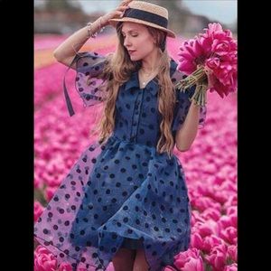 Dot Mesh Overlay Fluted Sleeve Swing Dress